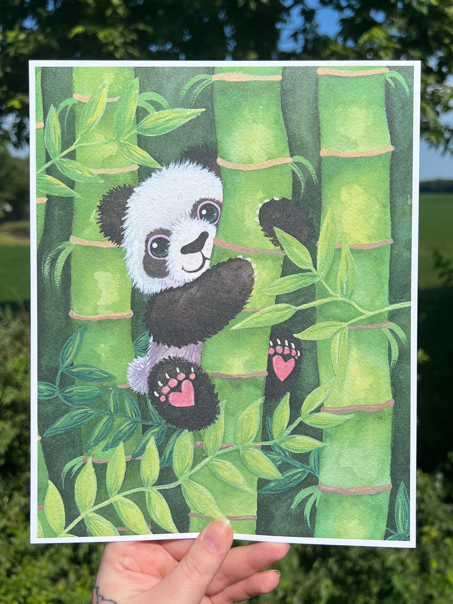 Panda Cotton Print