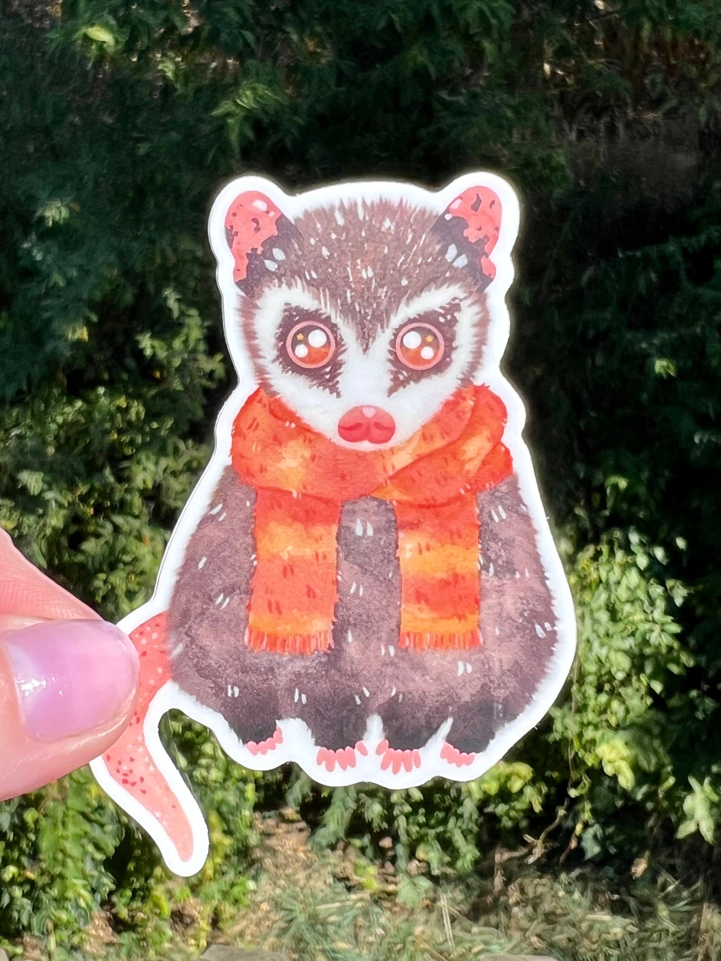 Possum in a Scarf Sticker